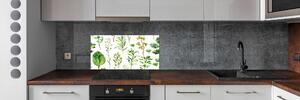 Panel do kuchyně Bylina a plevel pksh-117915031