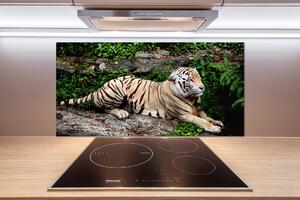 Panel do kuchyně Tygr na skále pksh-118161704