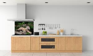 Panel do kuchyně Tygr na skále pksh-118161704