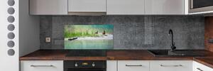 Panel do kuchyně Kachny nad vodou pksh-118398690