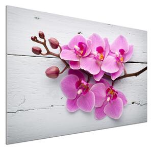 Panel lacobel Orchidej a na stromě pksh-118409675
