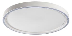 Rabalux 75086 LED přisazené stropní svítidlo Zerina | 31W integrovaný LED zdroj | 2000lm | 3000-6500K | bílá