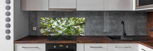 Dekorační panel sklo Koruna stromů pksh-119047799