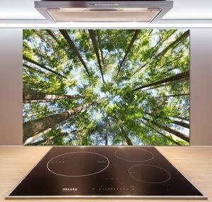 Dekorační panel sklo Koruna stromů pksh-119047799