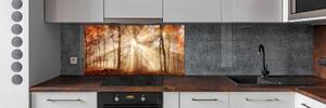 Panel lacobel Mlha v lese podzim pksh-119225469