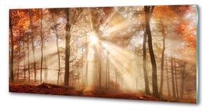 Panel lacobel Mlha v lese podzim pksh-119225469