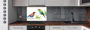 Panel do kuchyně Exotičtí ptáci pksh-119482141