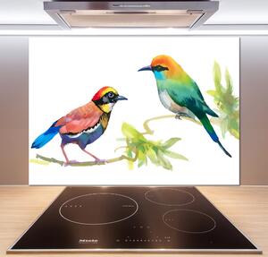 Panel do kuchyně Exotičtí ptáci pksh-119482141