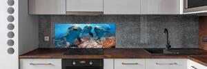 Skleněný panel do kuchyně Delfíny pksh-119968154
