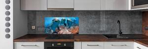 Skleněný panel do kuchyně Delfíny pksh-119968154