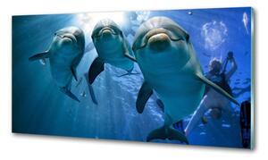 Dekorační panel sklo Tři delfíni pksh-119968160
