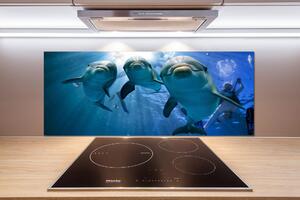 Dekorační panel sklo Tři delfíni pksh-119968160