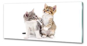 Dekorační sklo do kuchyně Dvě malé kočky pksh-120060855