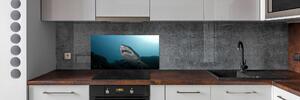 Dekorační panel sklo Velký žralok pksh-120086004