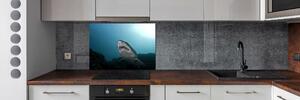 Dekorační panel sklo Velký žralok pksh-120086004