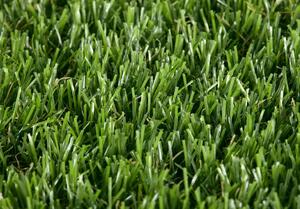 Travní koberec Easy Lawn CASTOR - množstevní slevy, Šíře role Šíře role 4m