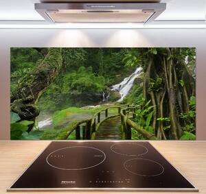 Panel do kuchyně Vodopád v džungli pksh-120475287