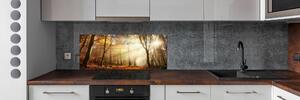 Dekorační panel sklo Mlha v lese pksh-120624836