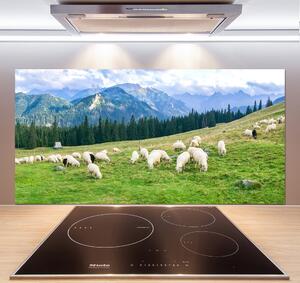Panel do kuchyně Ovce v Tatrách pksh-121151461