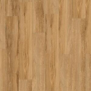 Gerflor Creation 70 Albion 0577 3,37 m2