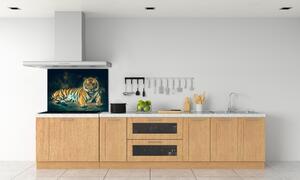 Panel do kuchyně Tygr v jeskyni pksh-121530926