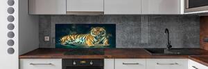 Panel do kuchyně Tygr v jeskyni pksh-121530926