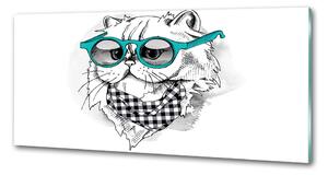Panel do kuchyně Kočka v brýlích pksh-121703839