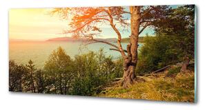 Panel lacobel Jezero Skandinávie pksh-121778519