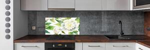 Skleněný panel do kuchyně Pivoňky pksh-121809062
