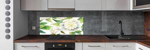 Skleněný panel do kuchyně Pivoňky pksh-121809062