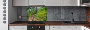 Panel do kuchyně Lesní stezka pksh-122173226