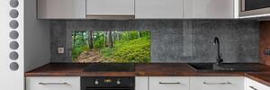 Panel do kuchyně Lesní stezka pksh-122173226
