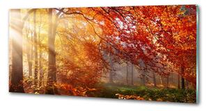 Dekorační panel sklo Podzimní les pksh-122248477