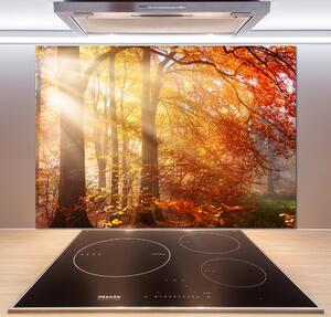 Dekorační panel sklo Podzimní les pksh-122248477