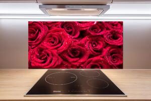 Panel do kuchyně Kapky na růžích pksh-122317792