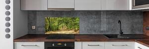 Panel do kuchyně Lesní stezka pksh-122510819