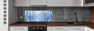 Skleněný panel do kuchynské linky Les zima pksh-122794428