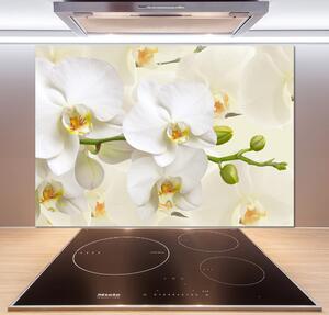 Skleněný panel do kuchynské linky Orchidej pksh-123330197