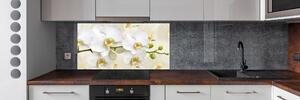 Skleněný panel do kuchynské linky Orchidej pksh-123330197