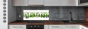 Panel do kuchyně Bylina na provázku pksh-123534655