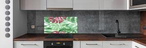Skleněný panel do kuchynské linky Monstera pksh-124503126