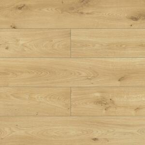 Modern Classic Design Dub Art D4557