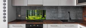 Panel do kuchyně Smrkový les pksh-124579847