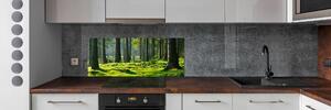 Panel do kuchyně Smrkový les pksh-124579847