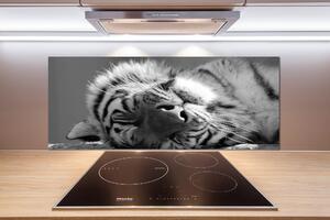 Panel do kuchyně Spící tygr pksh-125000206
