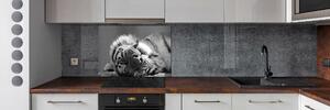 Panel do kuchyně Spící tygr pksh-125000206