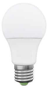 LED Žárovka LEDSTAR ECO E27/10W/230V 3000K