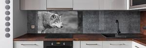 Dekorační panel sklo Šedý vlk pksh-125421387