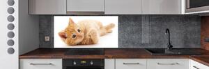 Skleněný panel do kuchynské linky Červená kočka pksh-126034635