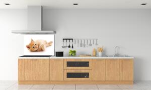 Skleněný panel do kuchynské linky Červená kočka pksh-126034635